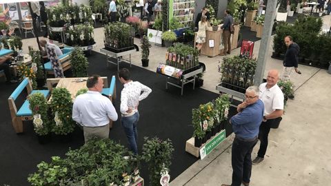 La 2e édition des Garden Trials se tiendra à Boskoop aux Pays-Bas, du 11 au 13 juin. ©GardenTrials